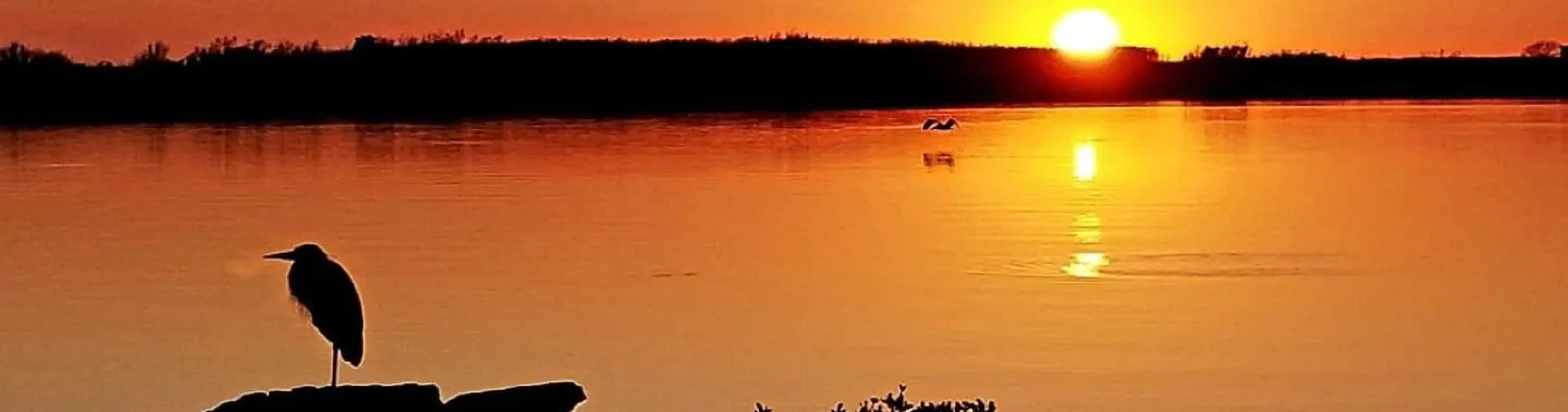 Contact | Hooked on Sargent Fishing Rodeo